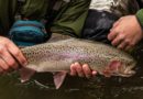 Trout Fishing Fever Grips New York: April 1st Marks Start of 2024 Season
