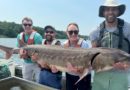 Massive 220 Pound Fish Caught In The Hudson River